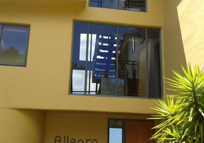 Bed and Breakfast Allegra House