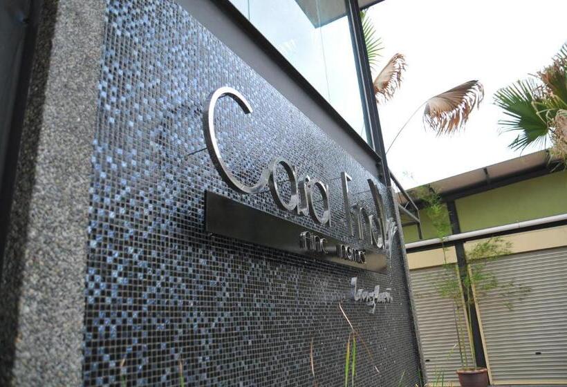 Casa Fina Fine Homes