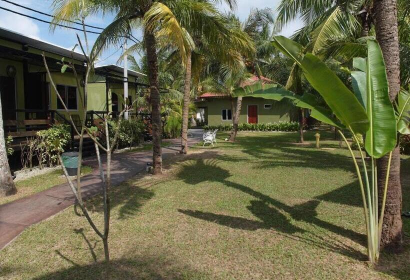 Casa Fina Fine Homes