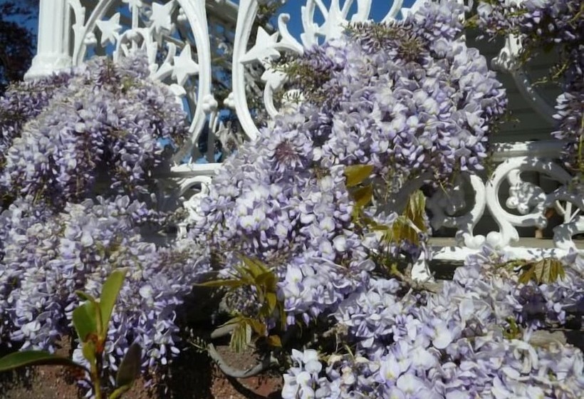 Hazel House Boutique Bed & Breakfast