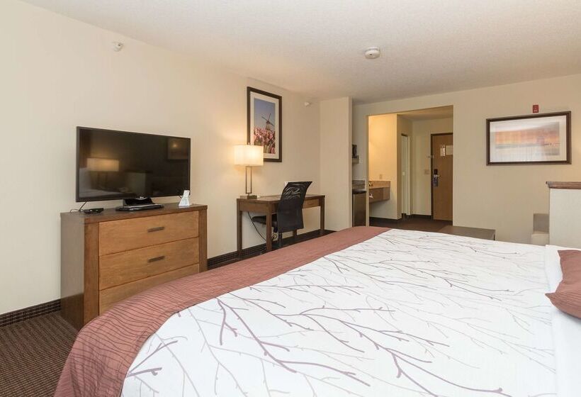 בית מלון כפרי White Pine Inn & Suites