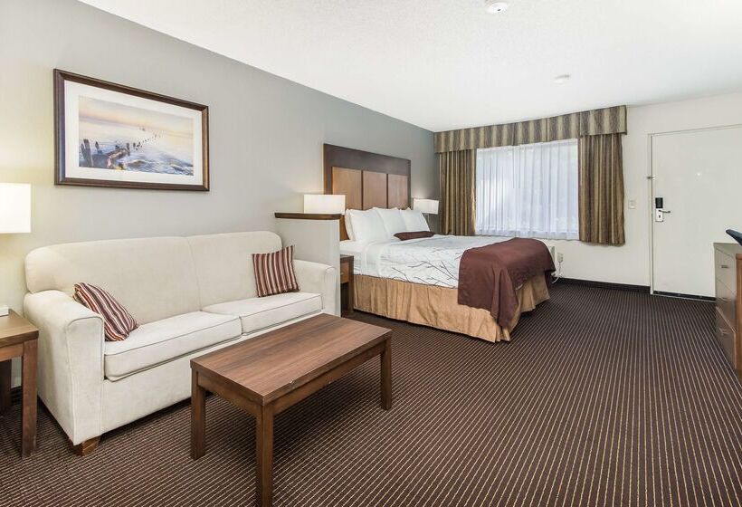 בית מלון כפרי White Pine Inn & Suites