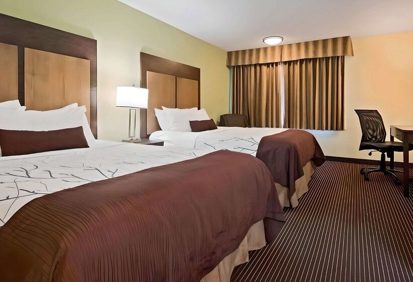 בית מלון כפרי White Pine Inn & Suites