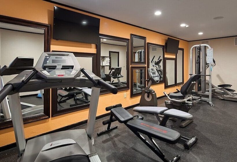 בית מלון כפרי White Pine Inn & Suites