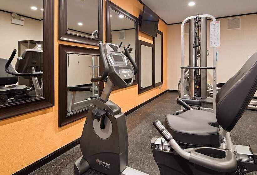 בית מלון כפרי White Pine Inn & Suites