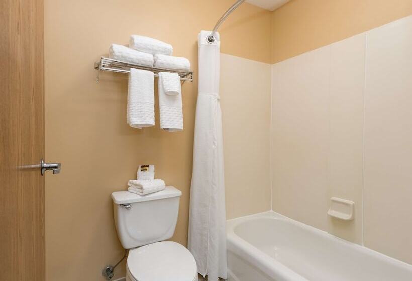 בית מלון כפרי White Pine Inn & Suites