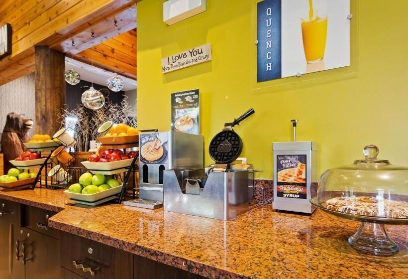 בית מלון כפרי White Pine Inn & Suites