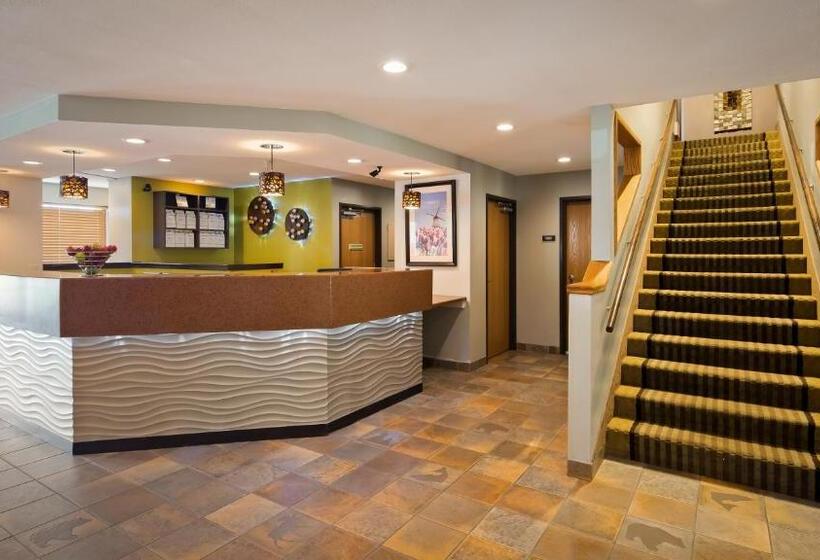 בית מלון כפרי White Pine Inn & Suites