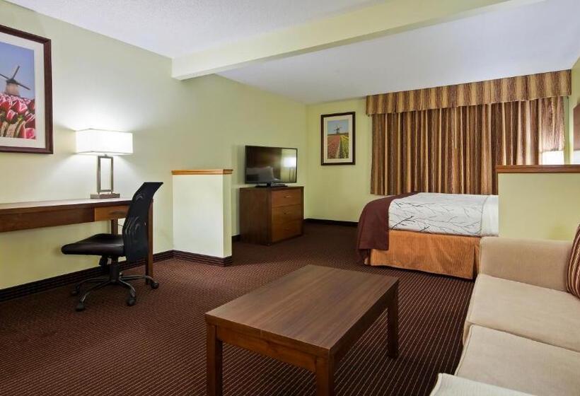 בית מלון כפרי White Pine Inn & Suites