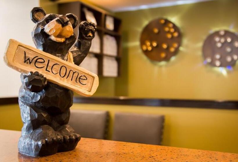 בית מלון כפרי White Pine Inn & Suites