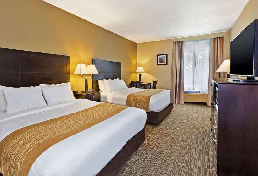 호텔 Comfort Inn Whitehall Near Michigan S Adventure