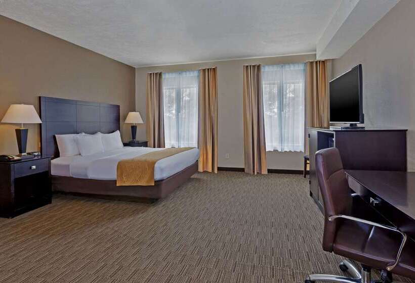 호텔 Comfort Inn Whitehall Near Michigan S Adventure