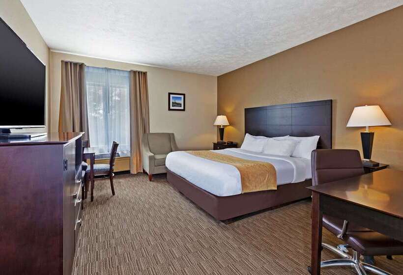 호텔 Comfort Inn Whitehall Near Michigan S Adventure