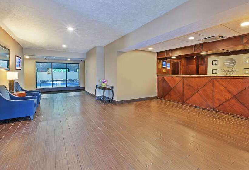 호텔 Comfort Inn Whitehall Near Michigan S Adventure