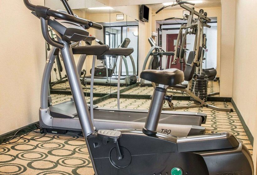 호텔 Comfort Inn Whitehall Near Michigan S Adventure