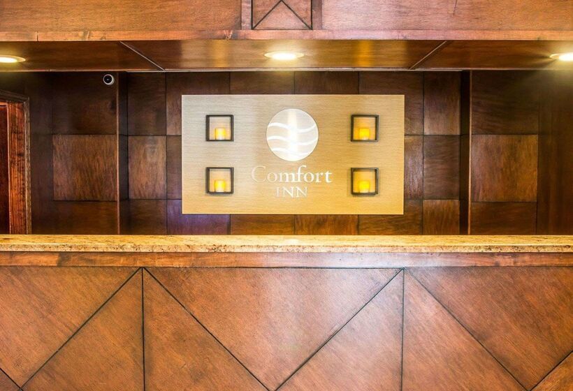 호텔 Comfort Inn Whitehall Near Michigan S Adventure