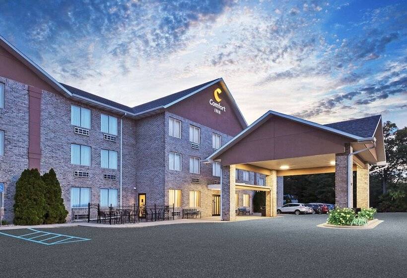 호텔 Comfort Inn Whitehall Near Michigan S Adventure