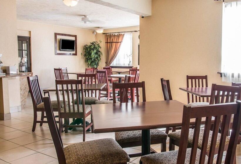 호텔 Comfort Inn Whitehall Near Michigan S Adventure