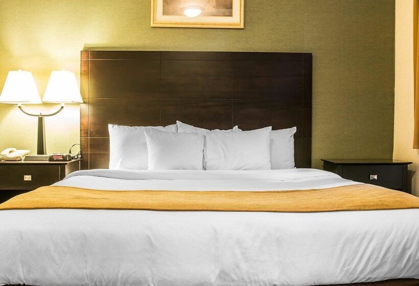 호텔 Comfort Inn Whitehall Near Michigan S Adventure