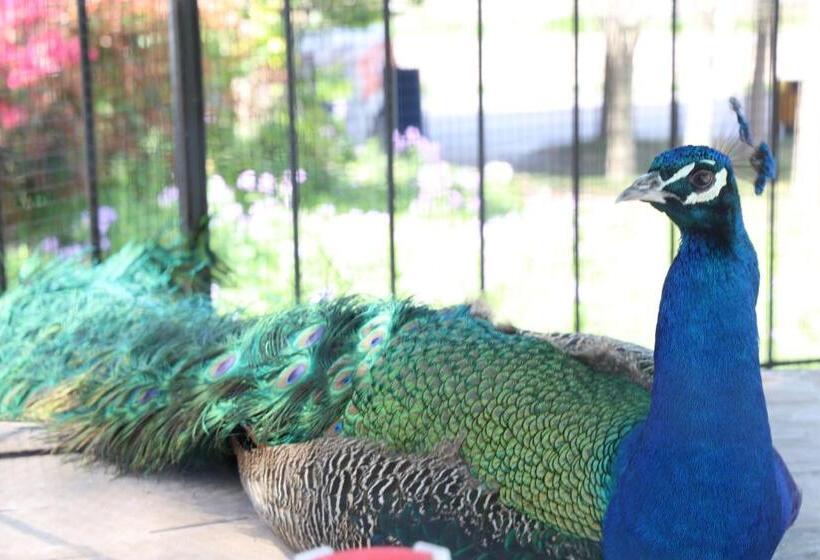 호텔 Crowne Plaza Shanghai Anting Auto City