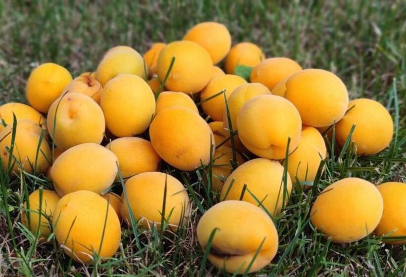 Отель Crowne Plaza Shanghai Anting Auto City