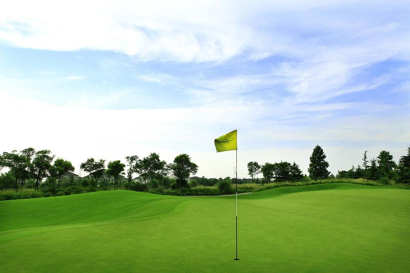 Отель Crowne Plaza Shanghai Anting Auto City