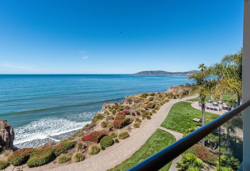 فندق Dolphin Bay Resort And Spa