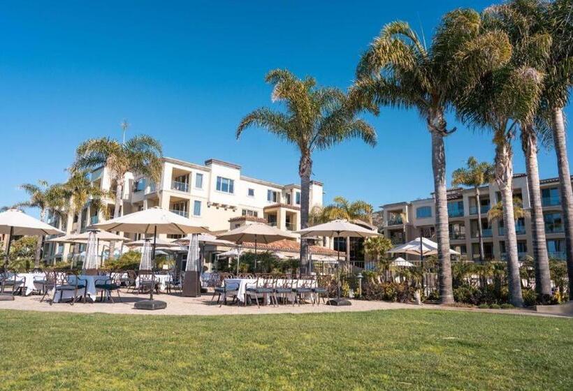 فندق Dolphin Bay Resort And Spa