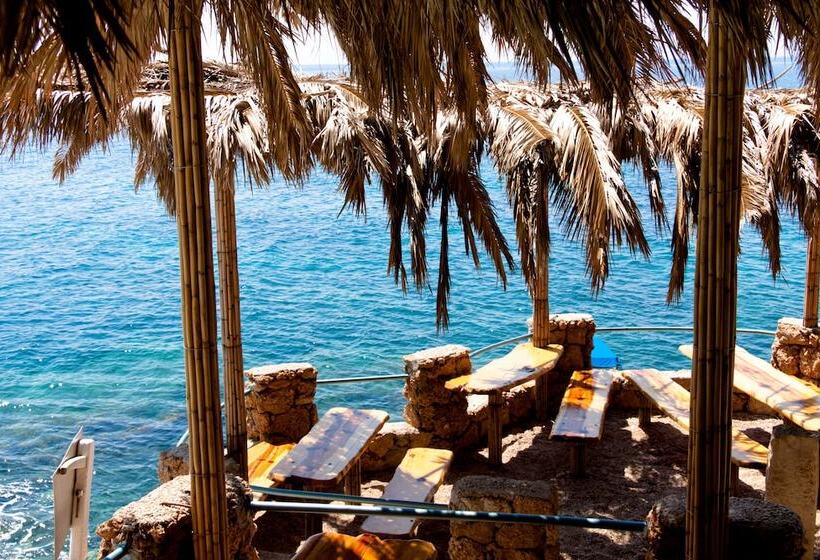 酒店 Wine Resort Adriatic