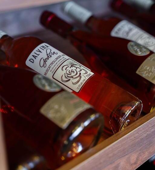 هتل Montana Palace