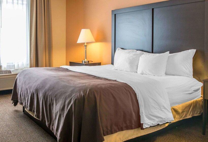 호텔 Quality Inn & Suites Niles