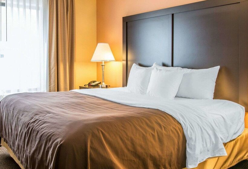 호텔 Quality Inn & Suites Niles