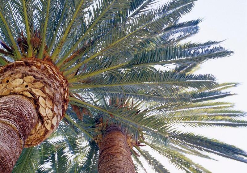 בית מלון כפרי Riviera Beach House