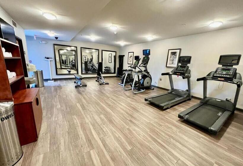 בית מלון כפרי Staybridge Suites Detroit Novi, An Ihg