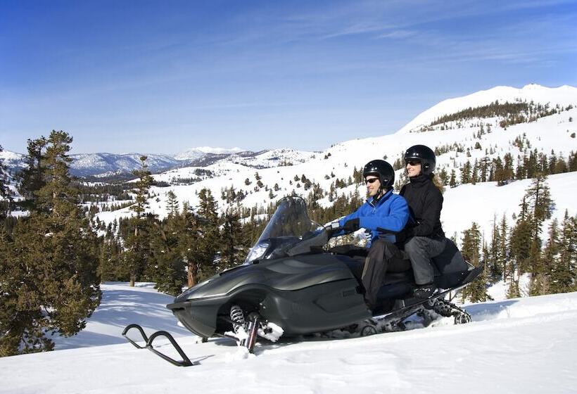 فندق Togwotee Mountain Lodge