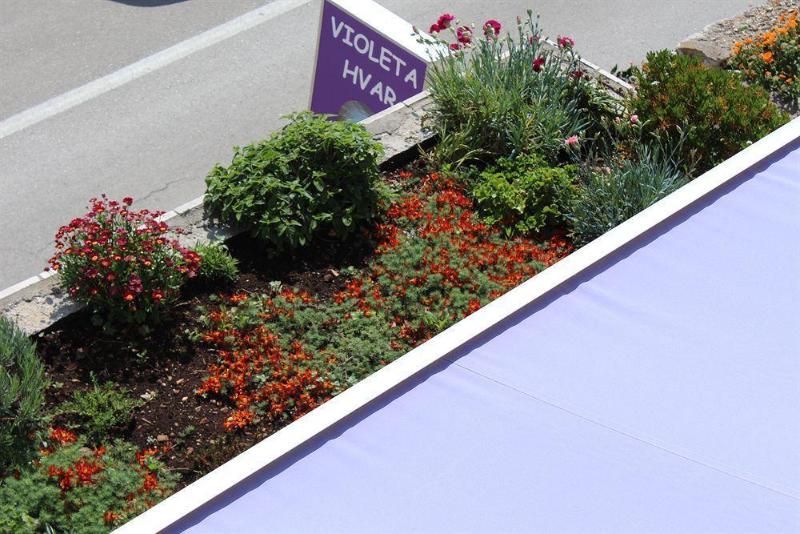 هتل Violeta Hvar