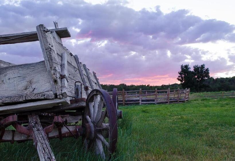 Отель Zion Mountain Ranch
