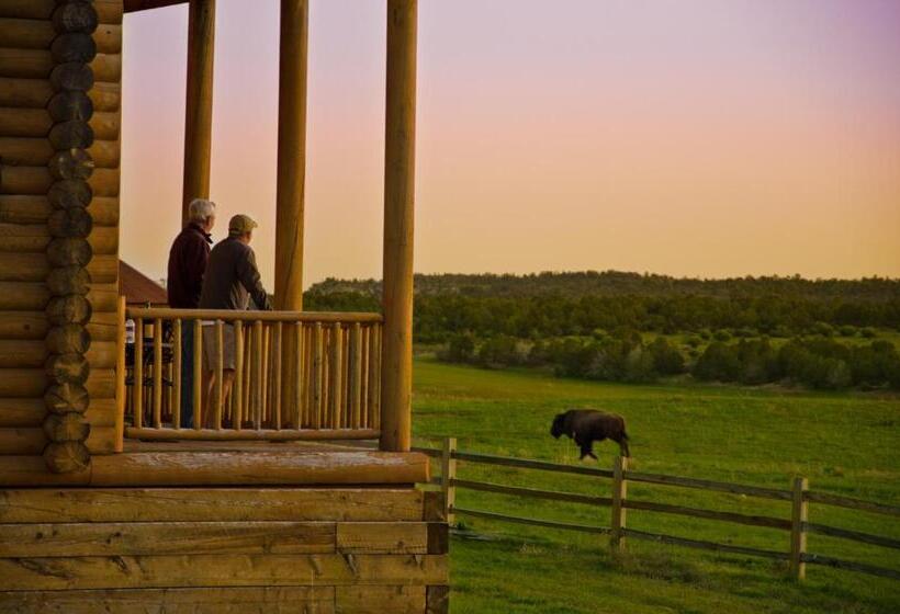 Отель Zion Mountain Ranch