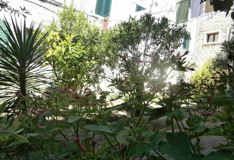 Rooms And Apartments Djanovic