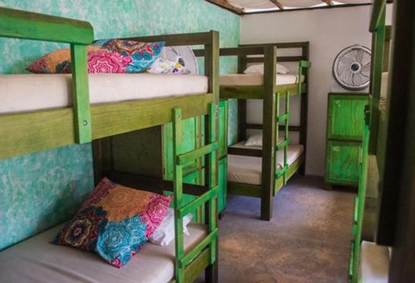 ホテル Bambu Hostel