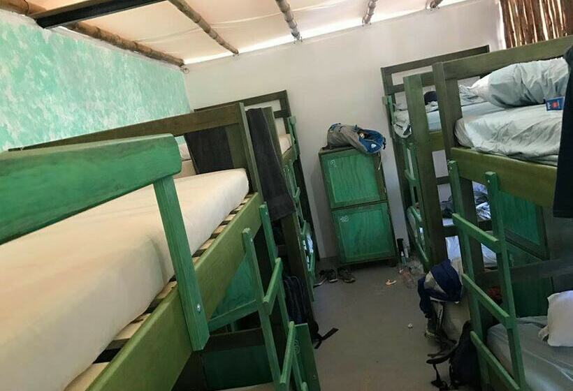 ホテル Bambu Hostel