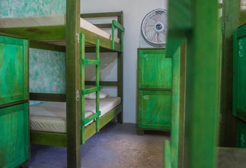 ホテル Bambu Hostel