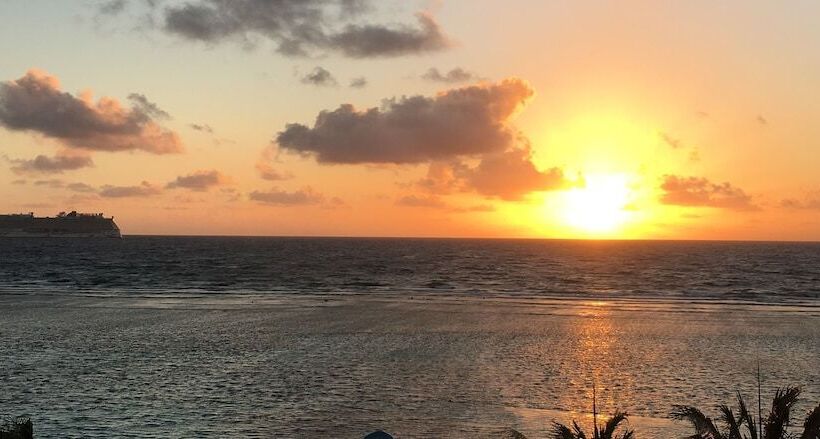 ホテル Bambu Hostel