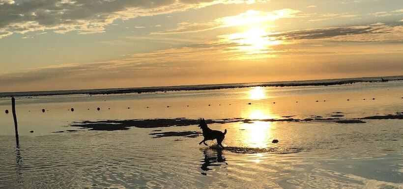 ホテル Bambu Hostel