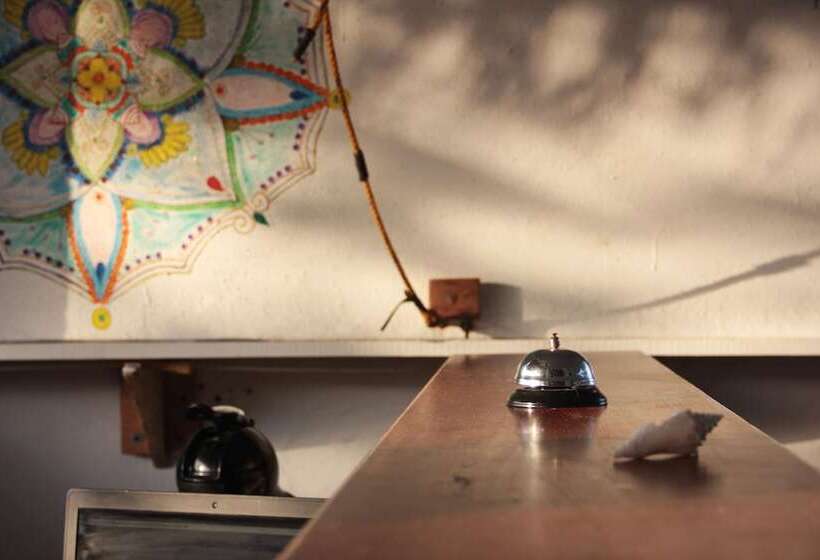 ホテル Bambu Hostel