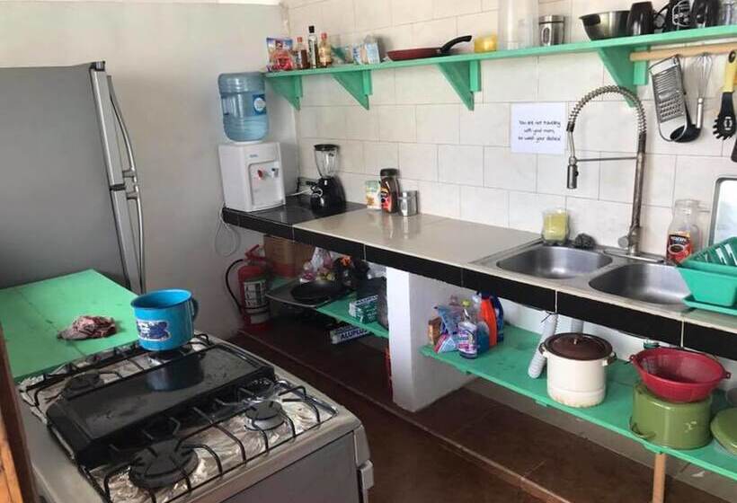 ホテル Bambu Hostel