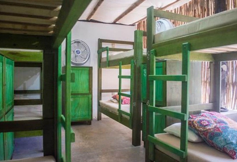 ホテル Bambu Hostel