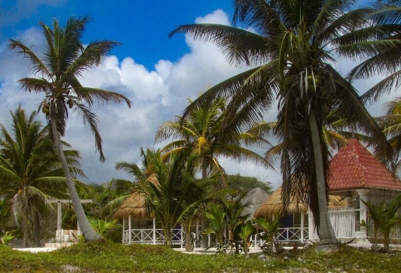 酒店 Cabañas Ecoturisticas Costa Maya