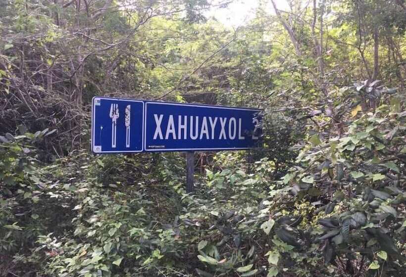 酒店 Cabañas Ecoturisticas Costa Maya