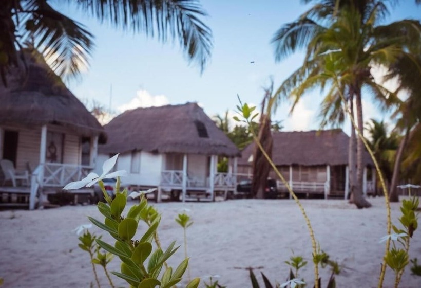 酒店 Cabañas Ecoturisticas Costa Maya